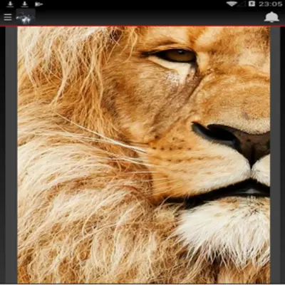 Wallpaper HD KEniChY android App screenshot 0